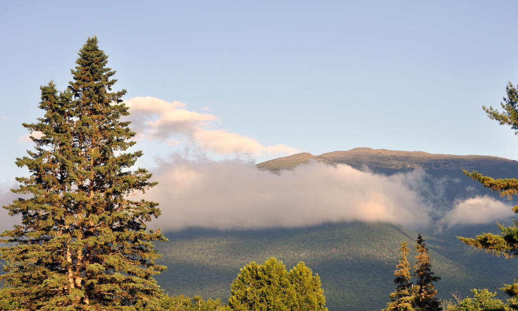 موتيل Randolph Mount Jefferson View المظهر الخارجي الصورة